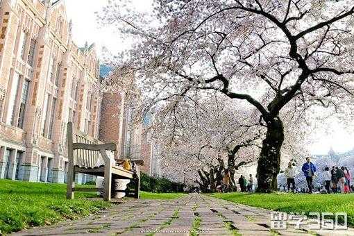 东京好莱坞大学图片（东京好莱坞大学院大学）